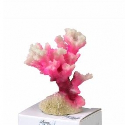 Decoracao Coral Module Cauliflower S 10x6.8x5.5cm