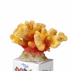 Decoracao Coral Module Cauliflower M 12x10.2x8cm