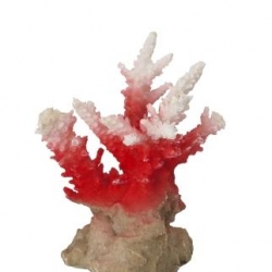 Deco. Coral Acropora 7x6x10.5cm