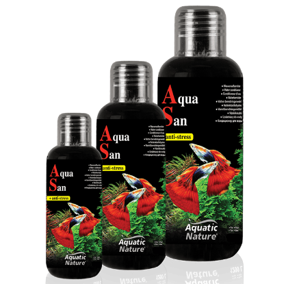 Imagem de Aqua San 300ml