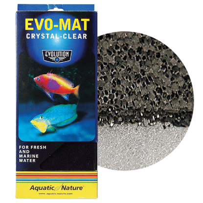 Imagem de Evolution - Mat Crystal Clear