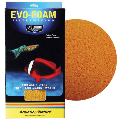 Imagem de Evolution - Foam