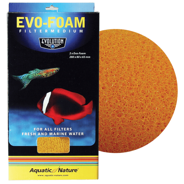 Imagem de Evolution - Foam