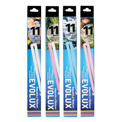 Imagem de Evolux 11W 30000K - Blue