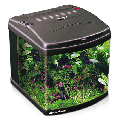 Imagem de Aquarium Evolution - Shadow Grey