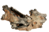 Picture of Forest 8