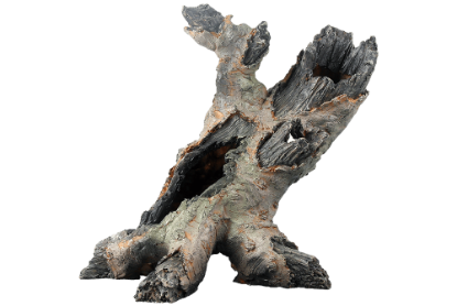 Imagem de Forest 13