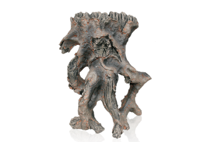 Imagem de Indian Root 1