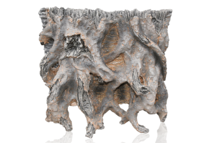 Imagem de Indian Root 2