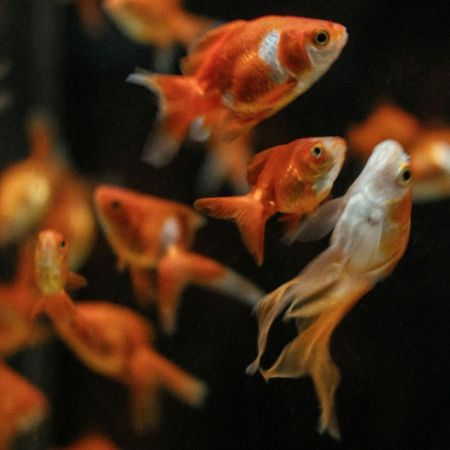 Picture for category Cold Water