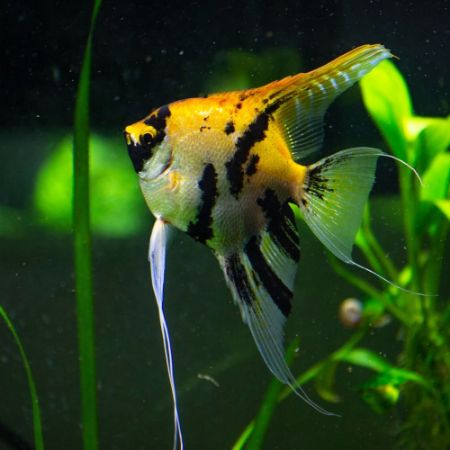 Picture for category Heated Water