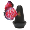 Picture of Spawning Cone Discus