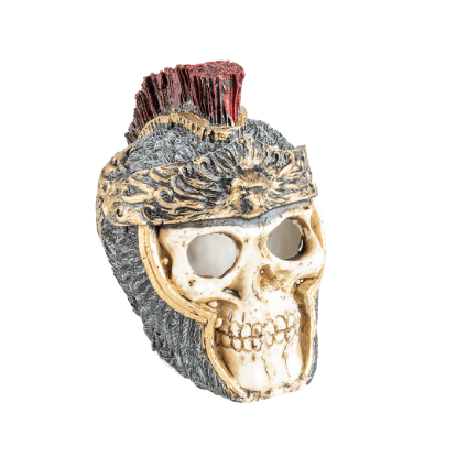 Imagem de Skull Roman S