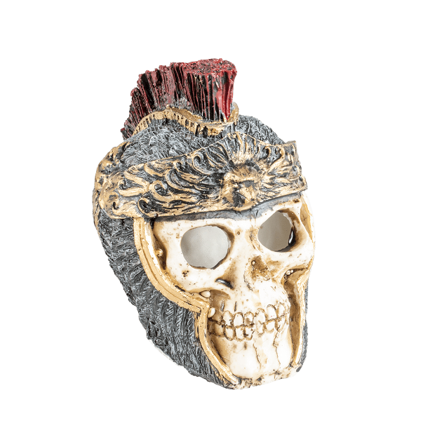 Picture of Skull Roman S