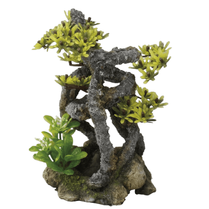 Imagem de EBI - Twist Bonsai