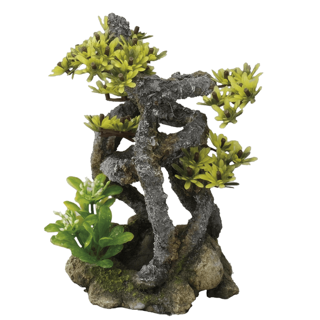 Picture of EBI - Twist Bonsai