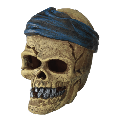 Imagem de EBI - Pirate Skull Headcrack