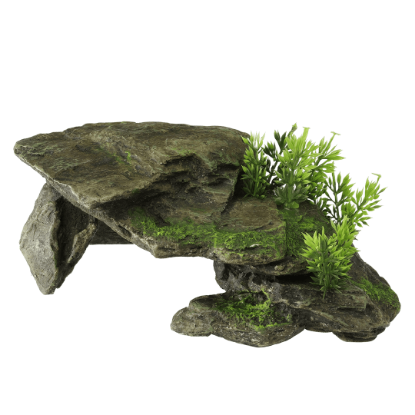 Imagem de Deco. Stone With Plants