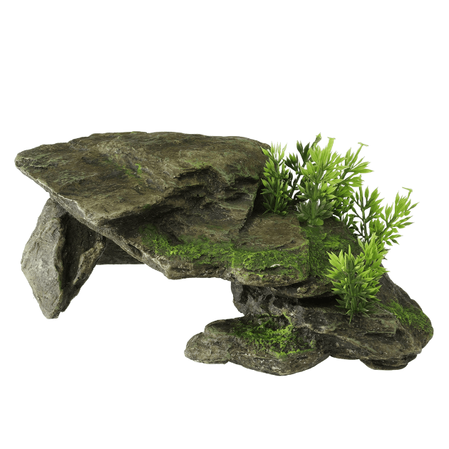 Imagem de Deco. Stone With Plants