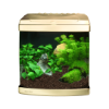 Picture of Aquarium Evolution - Vanilla