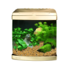 Picture of Aquarium Evolution - Vanilla