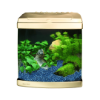 Picture of Aquarium Evolution - Vanilla