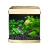 Picture of Aquarium Evolution - Vanilla