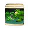 Picture of Aquarium Evolution - Vanilla
