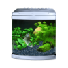 Picture of Aquarium Evolution - Pearl White