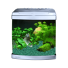 Picture of Aquarium Evolution - Pearl White