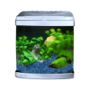 Picture of Aquarium Evolution - Pearl White
