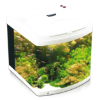 Picture of Aquarium Evolution - Pearl White