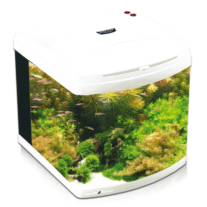 Imagem de Aquarium Evolution - Pearl White