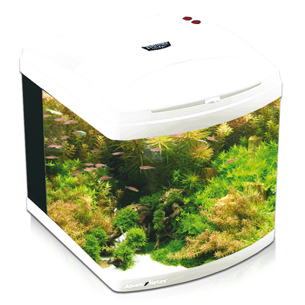 Picture of Aquarium Evolution - Pearl White