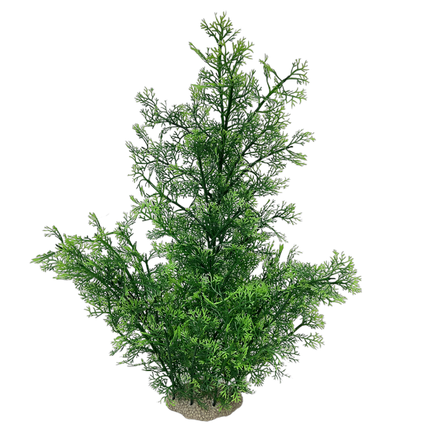 Picture of Phoenix Green