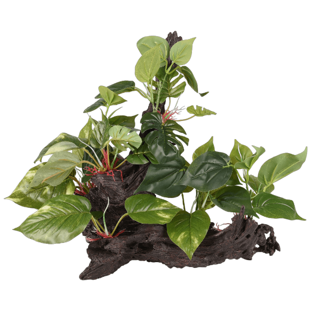 Imagem de Tropica Branch+Plant