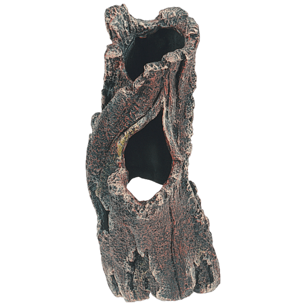 Picture of Brown Tree Stump
