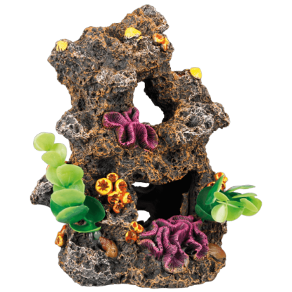 Imagem de Deco. Brown Reef