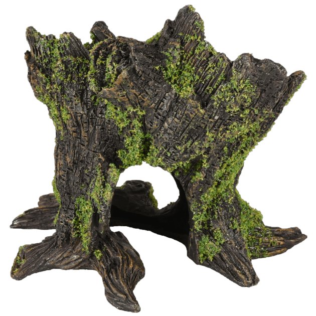 Picture of AD Moza Stump