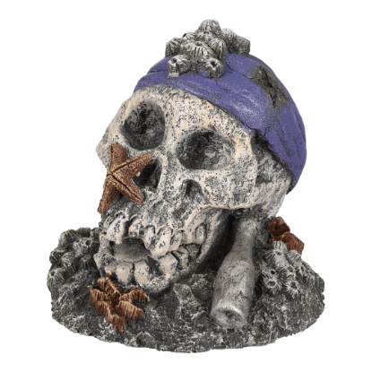 Imagem de Hades Grey Blue Skull