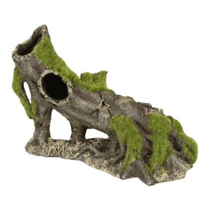 Imagem de AD Kozma Stump