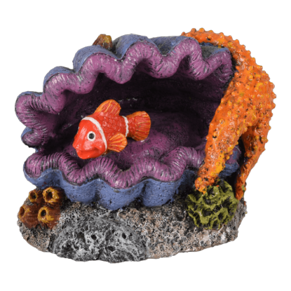 Imagem de AD Leto Shell + Fish