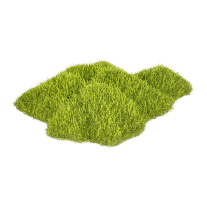 Imagem de AD Kozma Rock