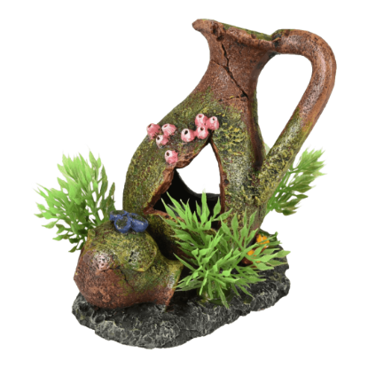 Imagem de AD Moza Pitchers + Plant