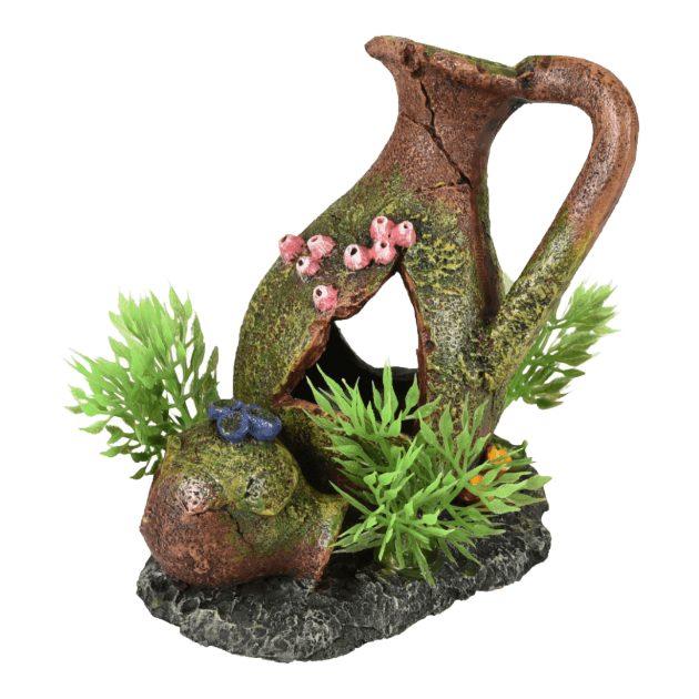 Imagem de AD Moza Pitchers + Plant