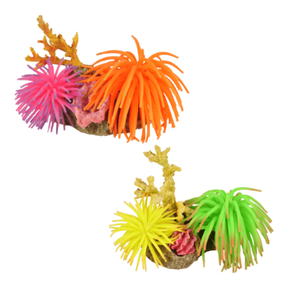 Imagem de AD Leo Anemone 1