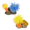 Imagen de AD Leo Anemone 2