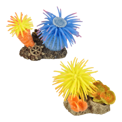 Imagem de AD Leo Anemone 2