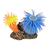 Imagen de AD Leo Anemone 2