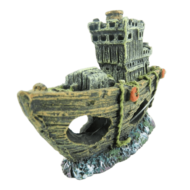Picture of AD Ropa Shipwreck 2